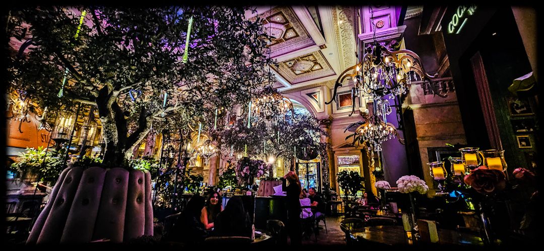 wp-17326012938374464144153667718876