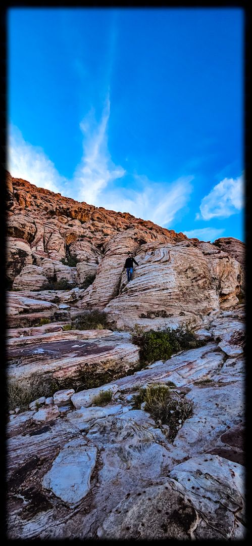 wp-1732602016202671151065628259993