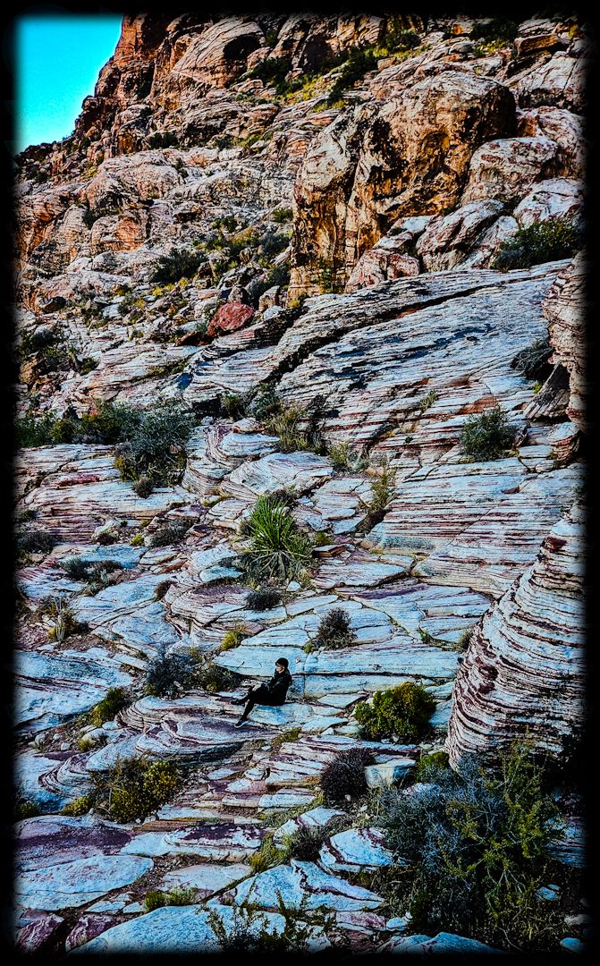 wp-173260223676027006574177105332