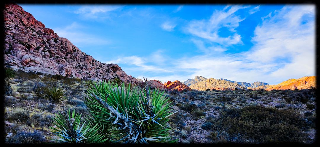 wp-17326022369232356477876742145888