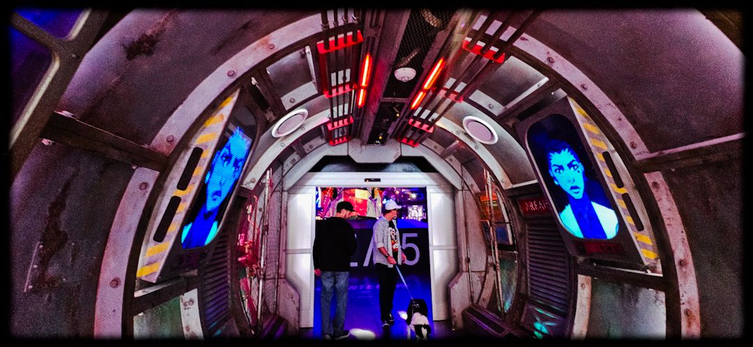 wp-17326029224237862817107408721370